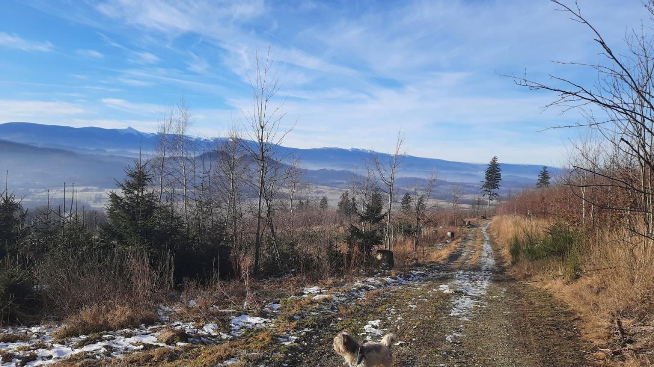 Noclegi Rozanka Radomierz Exterior foto